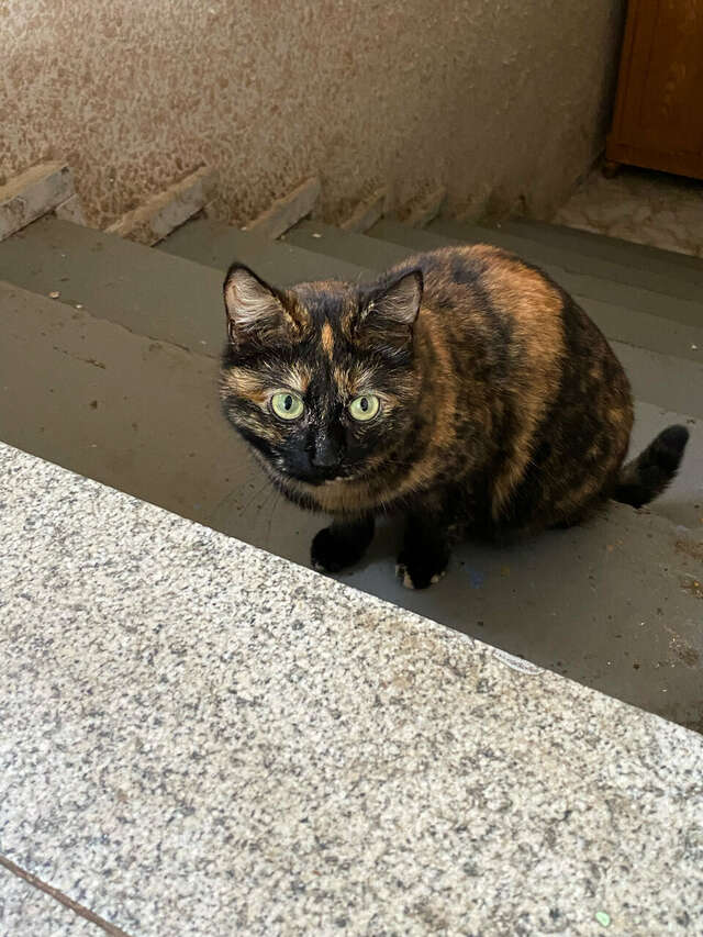 Гостиница Воскресенская Кострома-58